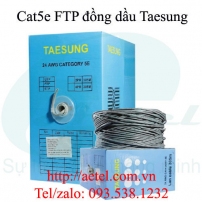 Cáp mạng Cat 5e FTP đồng dầu, ghi (305m) - Taesung