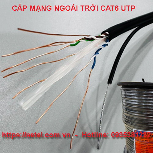 Cap mang Cat6UTP ngoai troi ancomteck