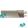 Gen ốp sàn, gen mu rùa Floor Trunking 50x12mm (2m/cây)